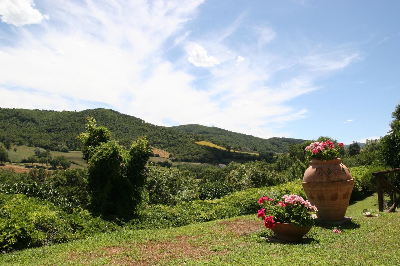Borgo Dei Sapori Hotel Città di Castello Eksteriør billede